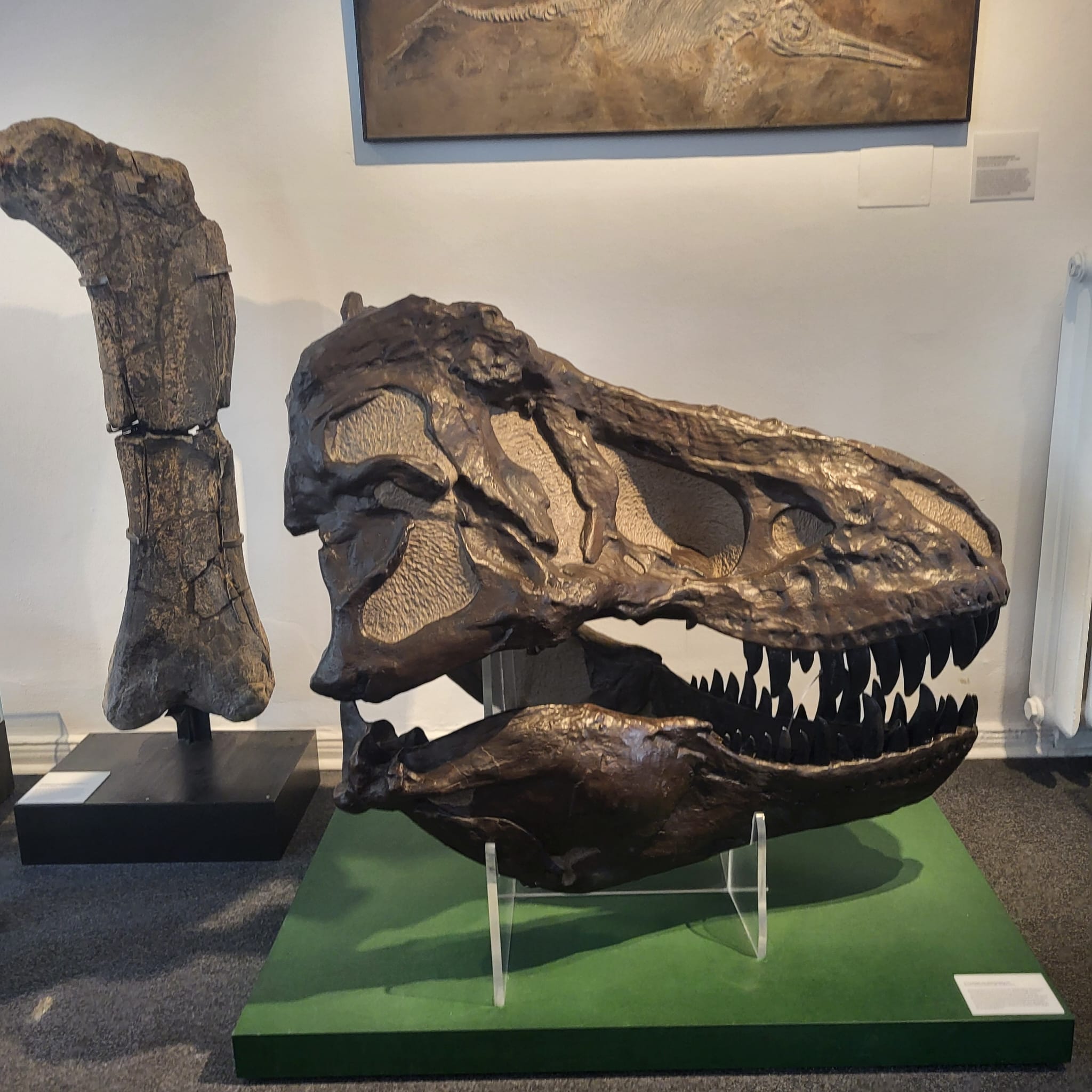 WhatsApp Image 2025-08-22 at 11.20.40 (1)